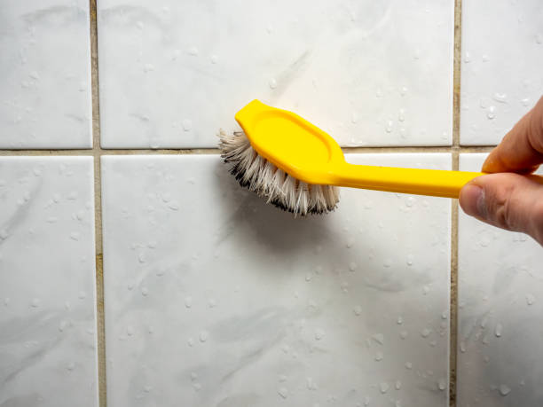 Best Mold Testing and Inspection Services in Houghton, NY
