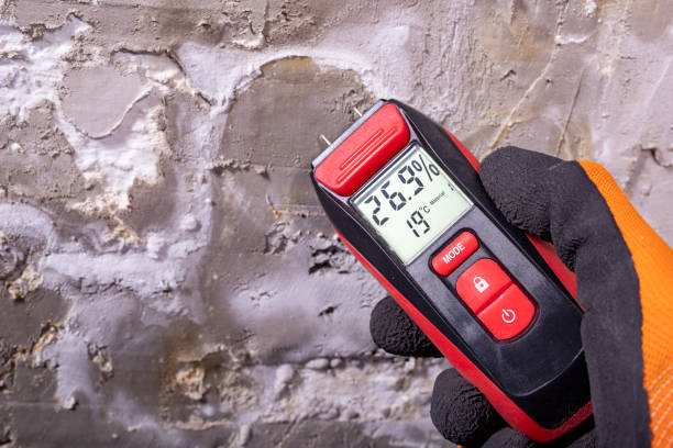 Best Post-Remediation Services in Houghton, NY