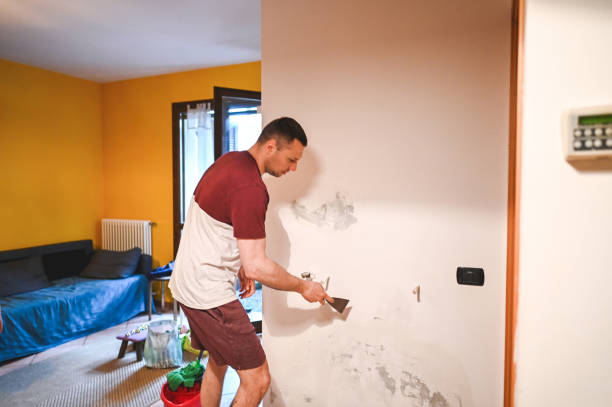 Best Emergency Mold Remediation in Houghton, NY